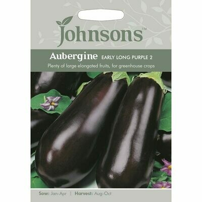Aubergine Early Long Purple 2