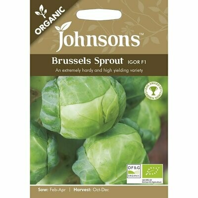 Brussels Sprout Igor F1 (org)