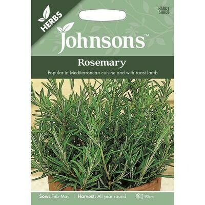 Herb - Rosemary