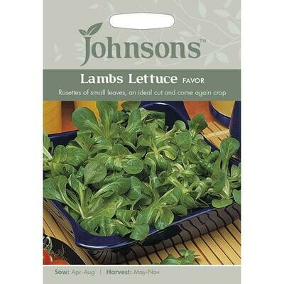 Lambs Lettuce Favor