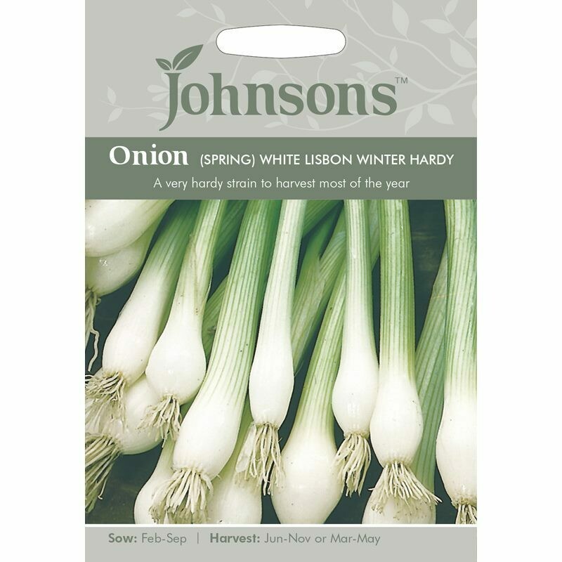 Onion (Spring) White Lisbon Winter Hardy
