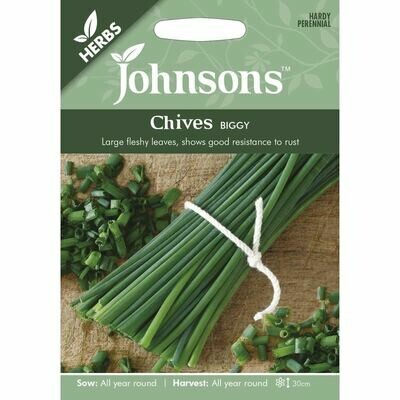 Herb - Chives Biggy
