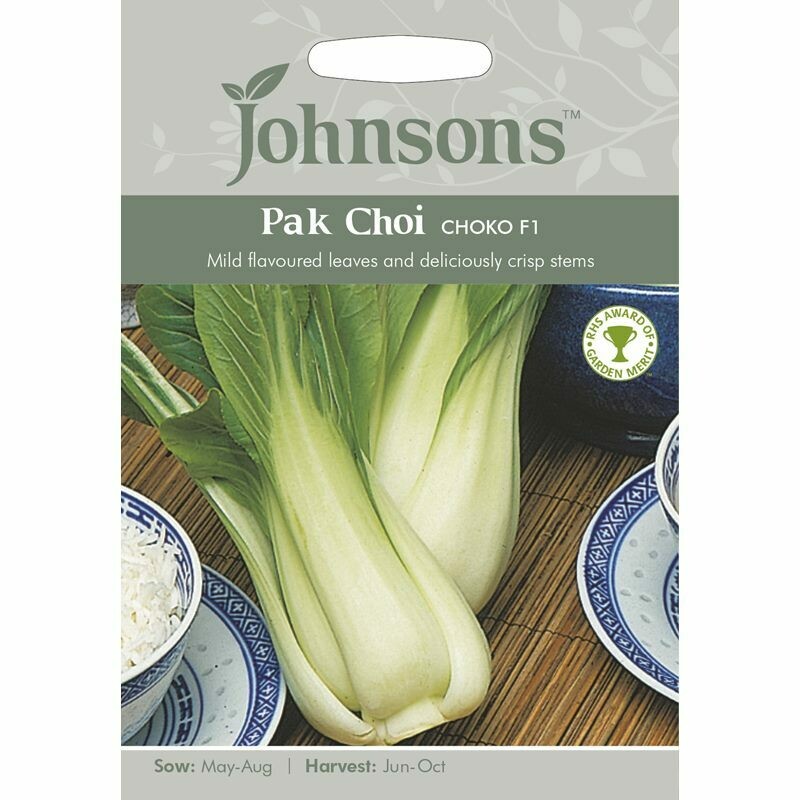 Pak Choi Choko F1