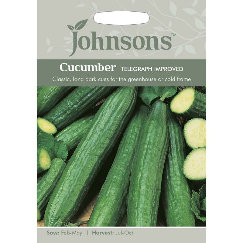 Cucumber Telegraph Improved