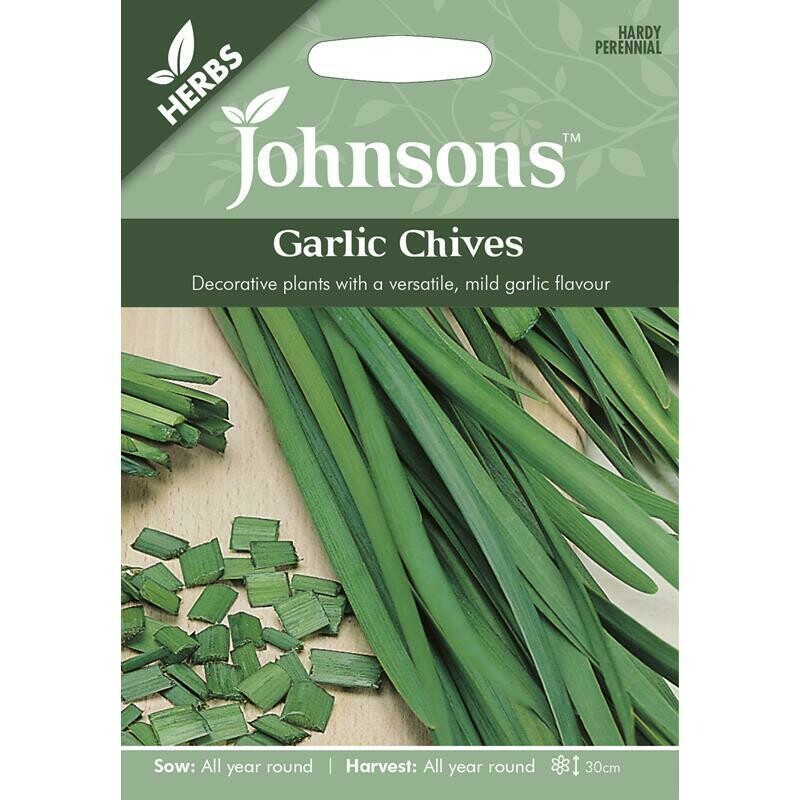Herb - Garlic Chives