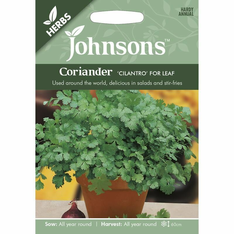 Herb - Coriander Cilantro For Leaf