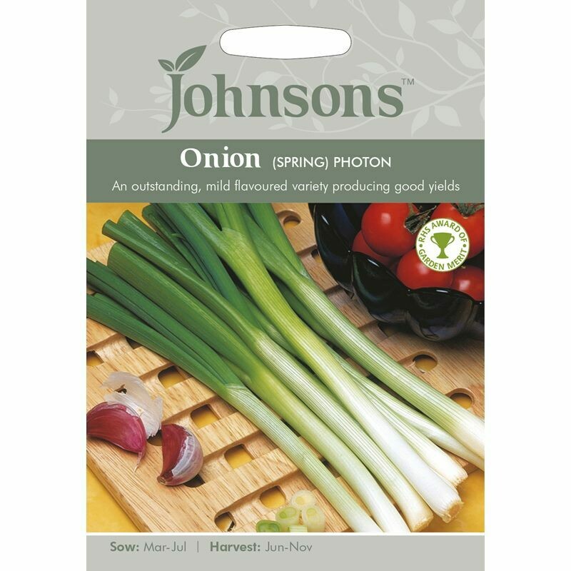 Onion (Spring) Photon