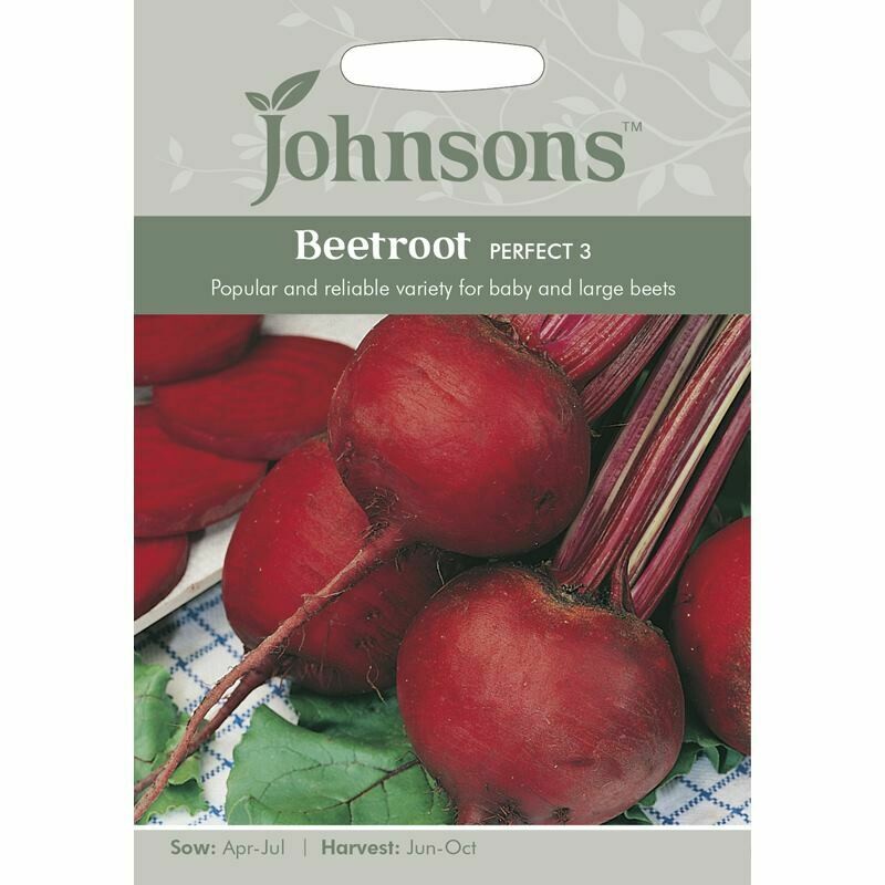 Beetroot Perfect 3