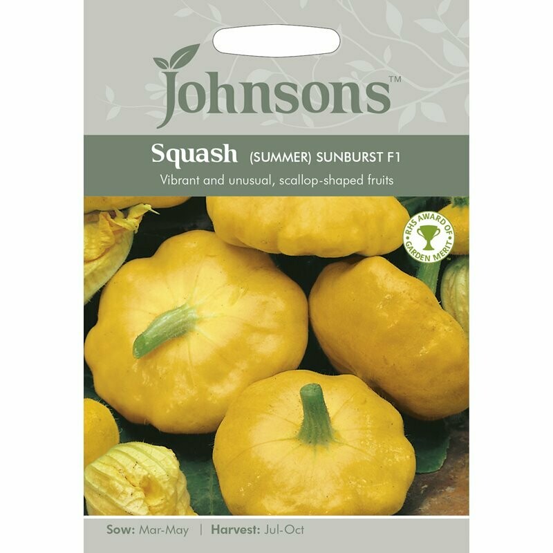Squash (Summer) Sunburst F1