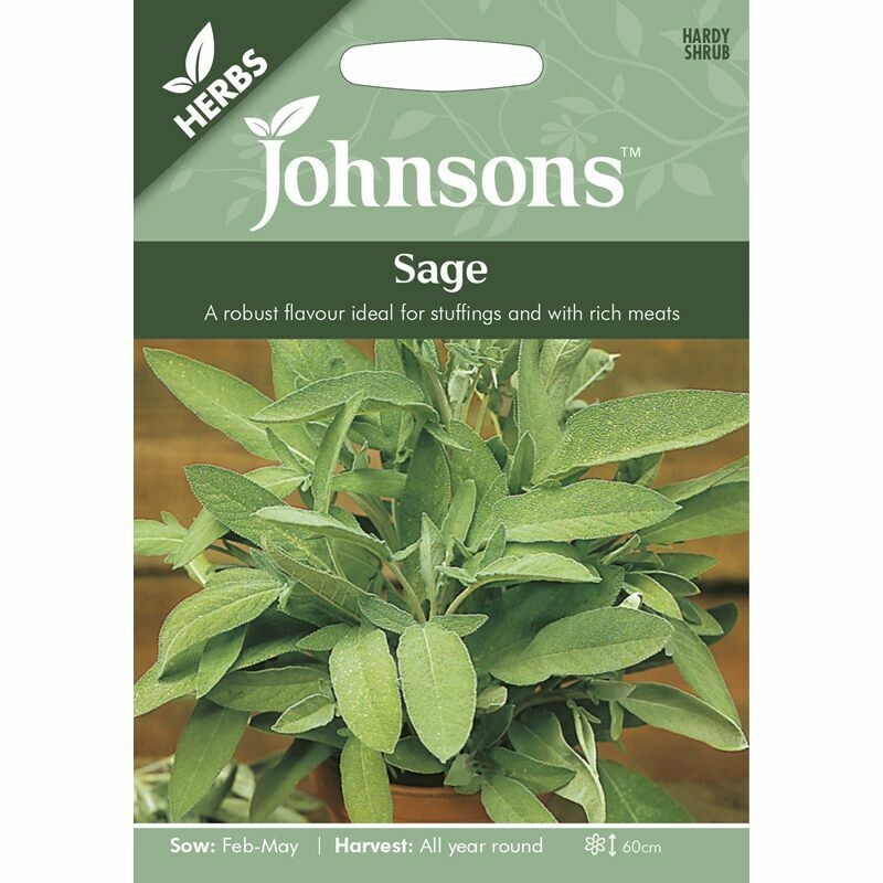 Herb - Sage