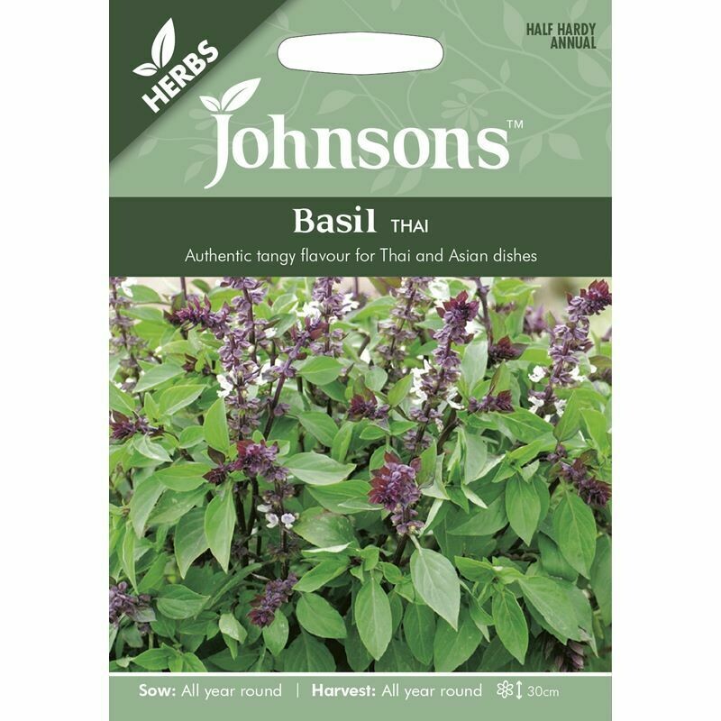 Herb - Basil Thai
