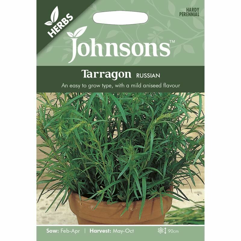 Herb - Tarragon Russian