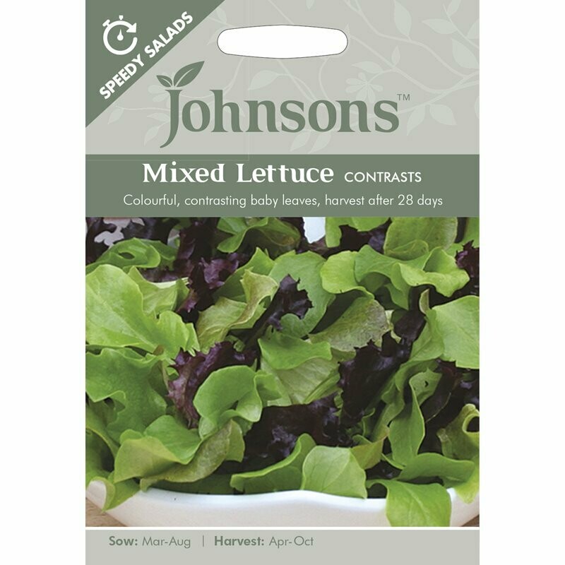 Mixed Lettuce Contrasts