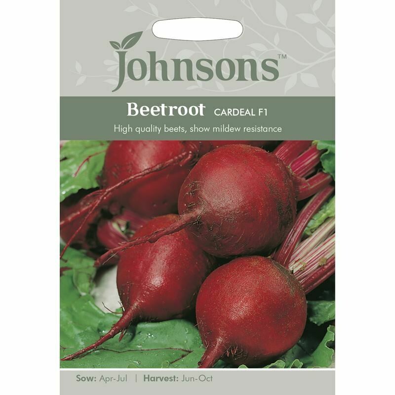 Beetroot Cardeal F1
