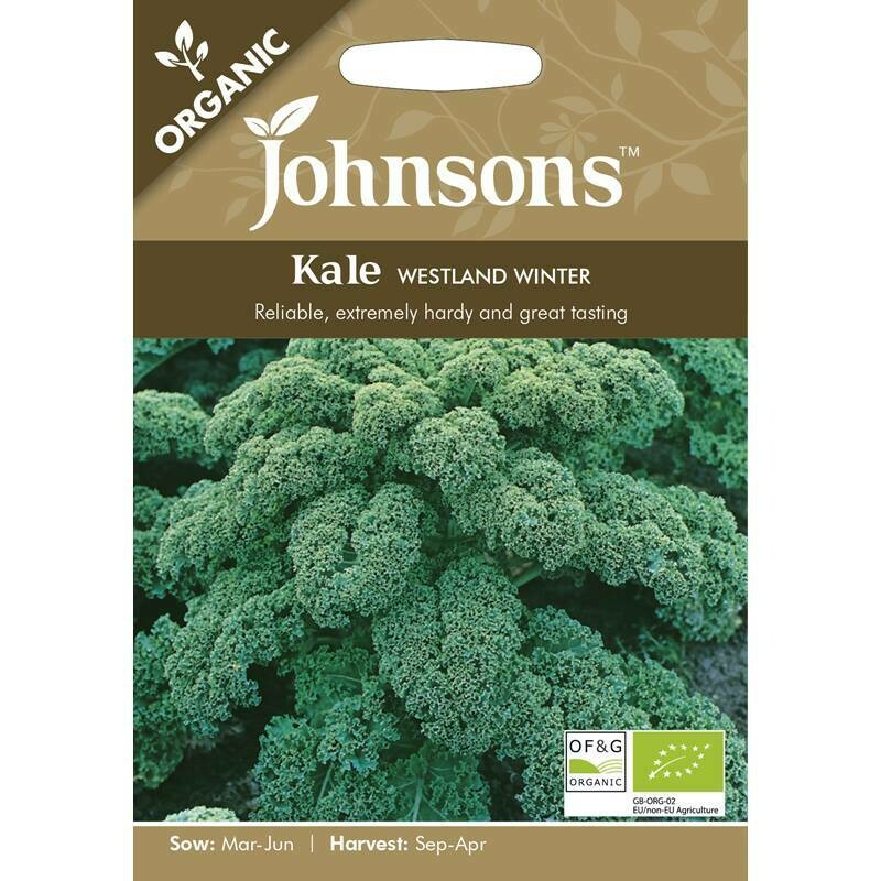Kale Westland Winter (org)