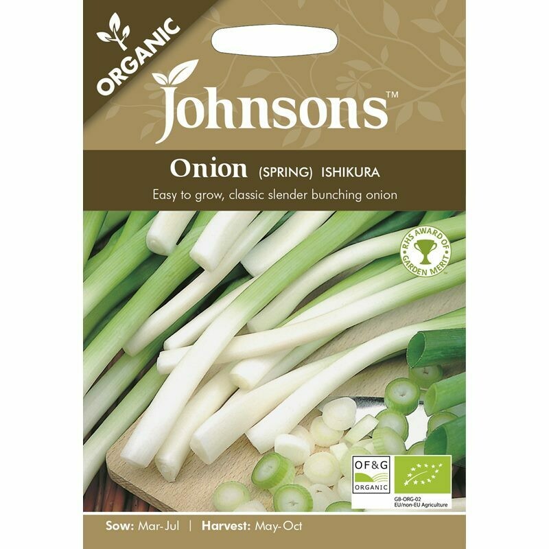 Onion (Spring) Ishikura ( (org)