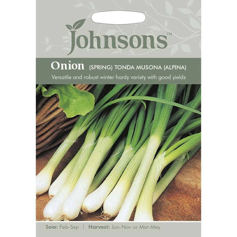 Onion (Spring) Tonda Musona (Alpina)