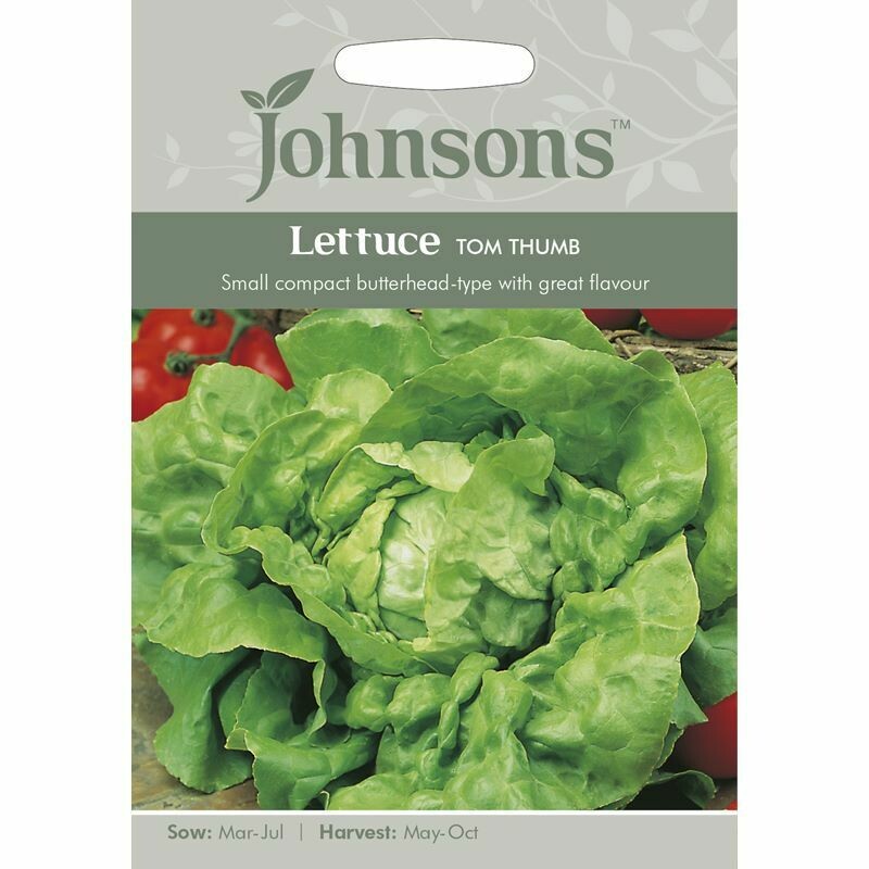 Lettuce Tom Thumb