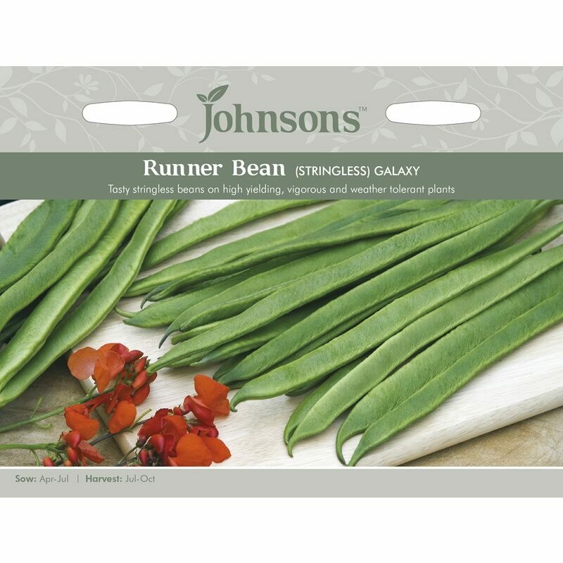 Runner Bean Galaxy (Stringless)