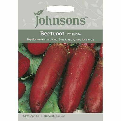 Beetroot Cylindra