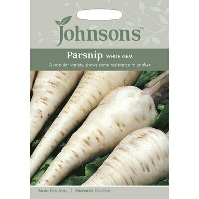 Parsnip White Gem
