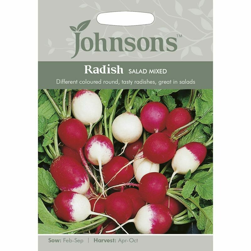 Radish Salad Mixed