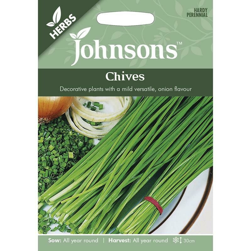 Herb - Chives