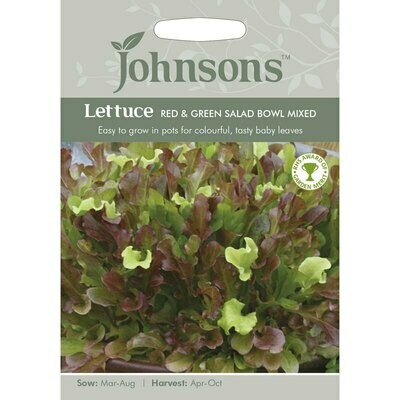 Lettuce Re &amp; Green Salad Bowl Mixed