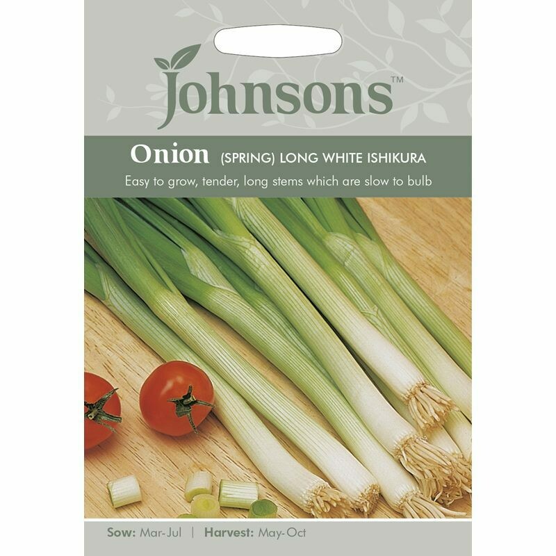 Onion (Spring) Long White Ishikura