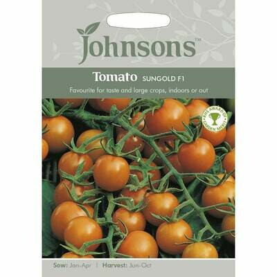Tomato Sungold F1
