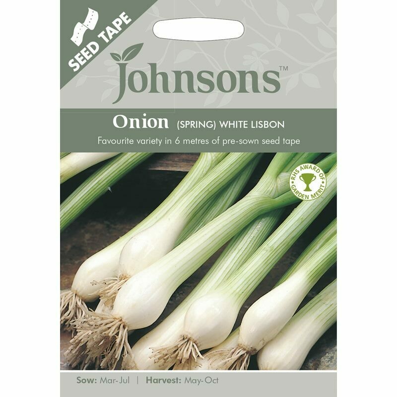 Onion (Spring) White Lisbon (Tape)