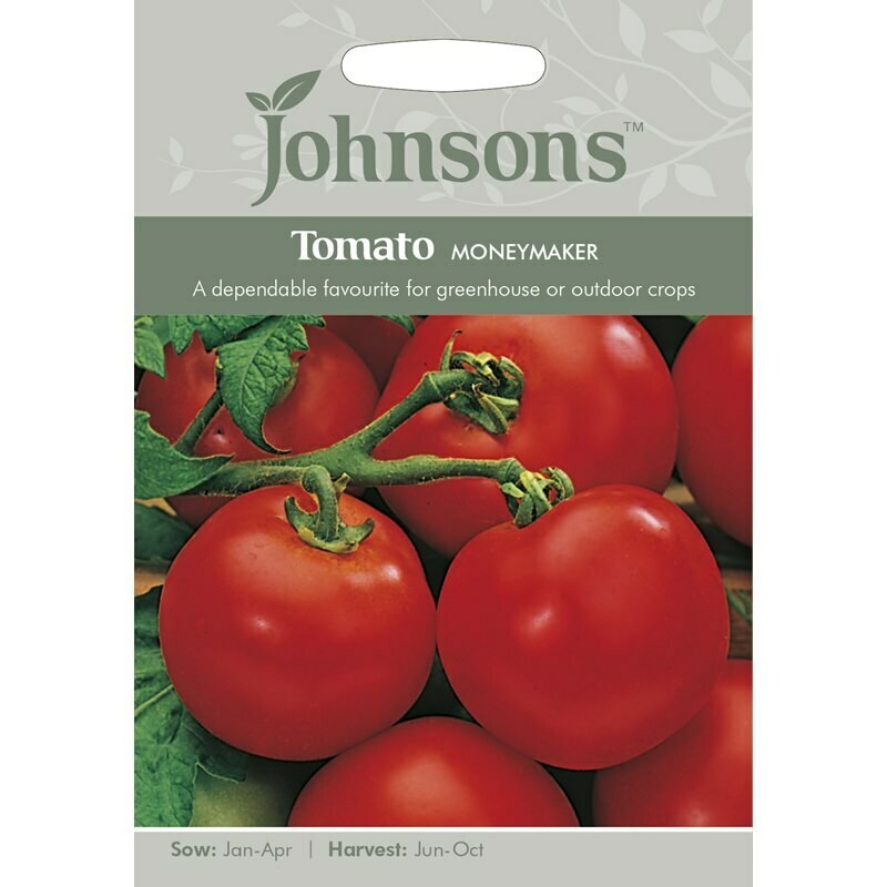 Tomato Moneymaker