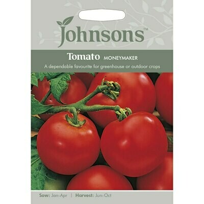 Tomato Moneymaker