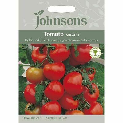 Tomato Alicante