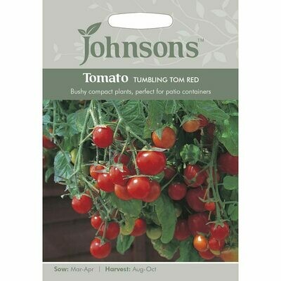 Tomato Tumbling Tom Red