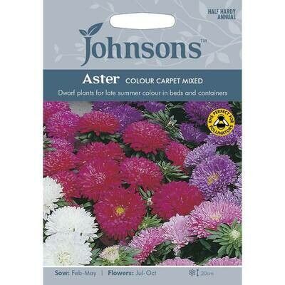 Aster Colour Carpet Mixed