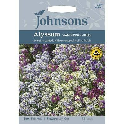 Alyssum Wandering Mixed