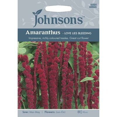 Amaranthus Love Lies Bleeding