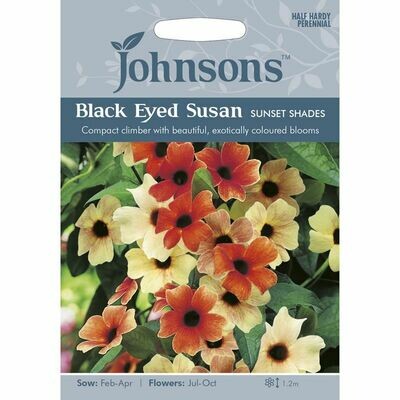 Black Eyed Susan Sunset Shades