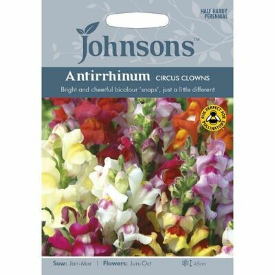 Antirrhinum Circus Clowns