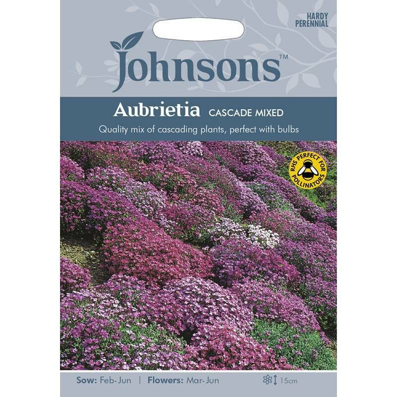 Aubrieta Cascade Mixed