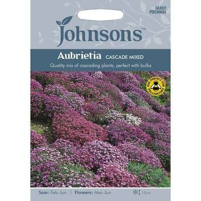 Aubrieta Cascade Mixed