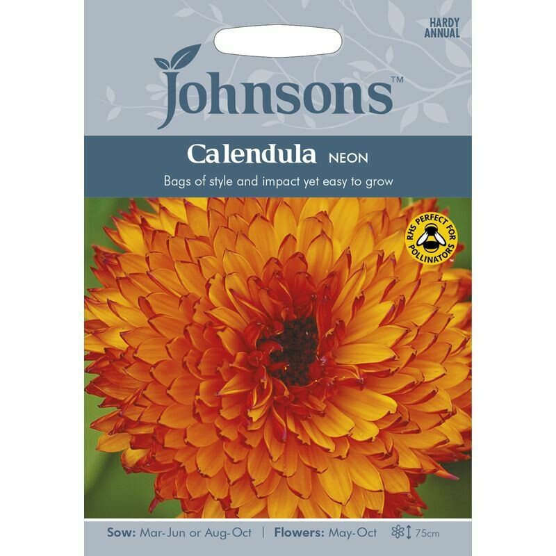 Calendula Neon