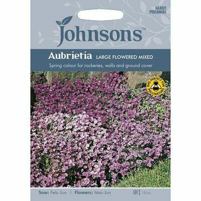 Aubrieta Large Flowered Mixed