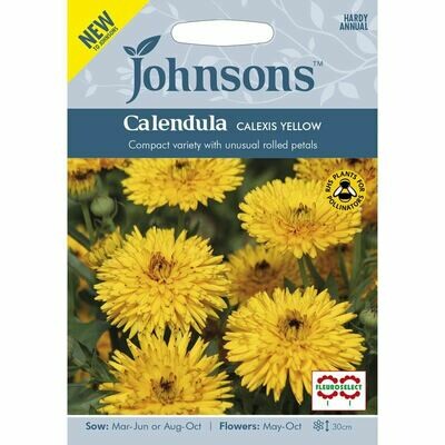 Calendula Calexis Yellow