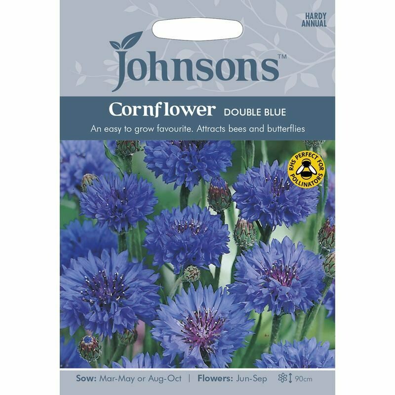 Cornflower Double Blue