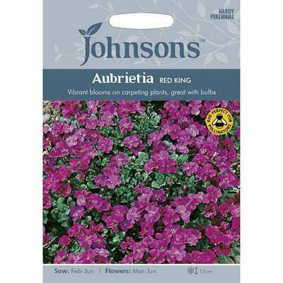 Aubrieta Red King