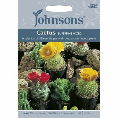 Cactus Superfine Mixed