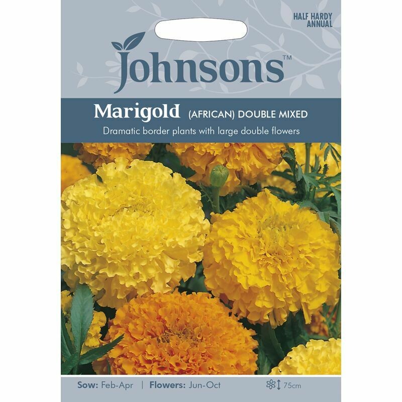 Marigold (African) Double Mixed