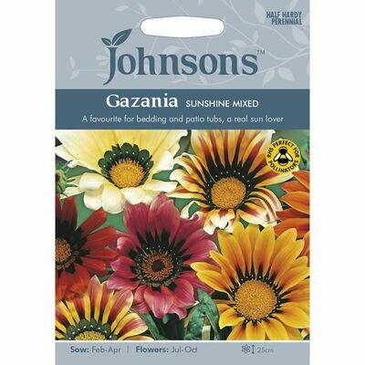 Gazania Sunshine Mixed